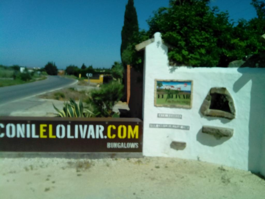 El Olivar De Roche Viejo Конил-де-ла-Фронтера Екстериор снимка