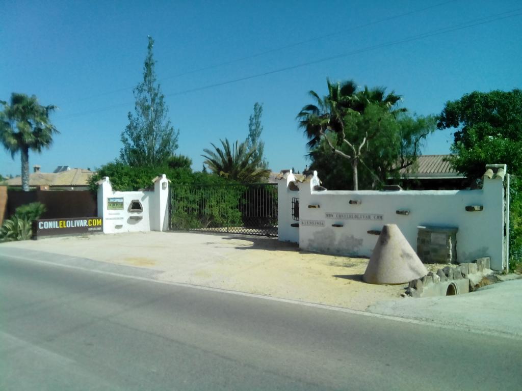 El Olivar De Roche Viejo Конил-де-ла-Фронтера Екстериор снимка